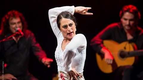 Teaser TRIO FLAMENCO - PACO EL LOBO le Jeudi 15 février à 20h30 à la Boite à Musique