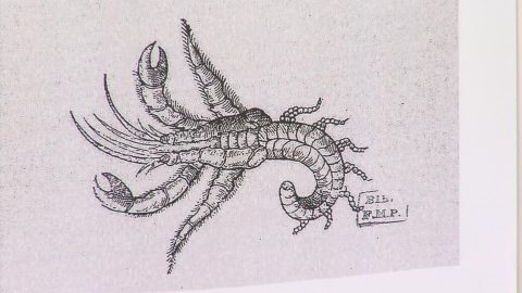 L'artiste François Réau en résidence à Issoudun