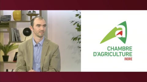 Invité Bip INFO du vendredi 7 mars 2025