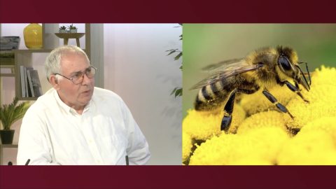 invité BIP INFO du 19/03/25