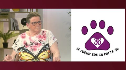 invitée BIP INFO du 03/04/25