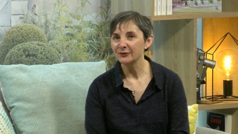 Claps de BIP du 08/04/25