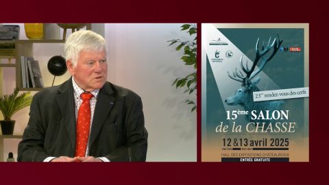 invité BIP INFO du 10/04/25