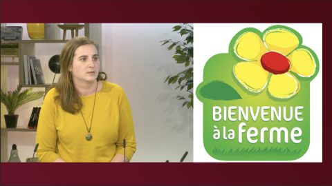 invitée BIP INFO du 17/04/25