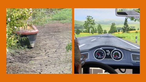 Les marais de Bourges face à la sécheresse / Les auto-écoles manquent de moniteurs