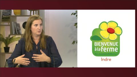 Invitée Bip INFO du vendredi 12 septembre