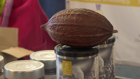 La quinzième édition du salon du chocolat et de gourmandises