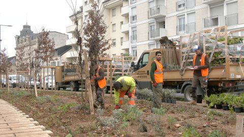 10 000 plantes vivaces s'enracinent dans la terre du boulevard Marx Dormoy