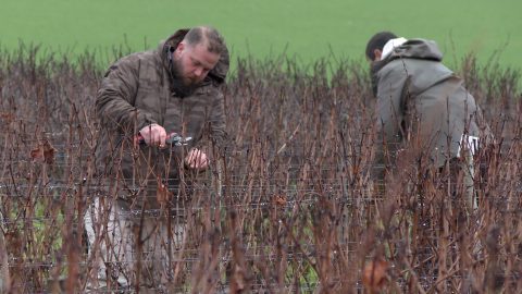Une nouvelle édition de la taille de vigne tournée vers l'avenir
