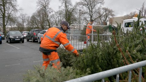 Recycler son sapin de Noël
