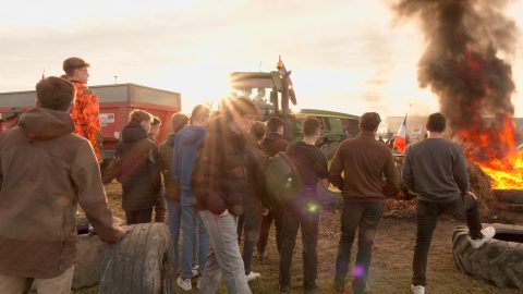 Les étudiants en formation agricole manifestent à Cap Sud