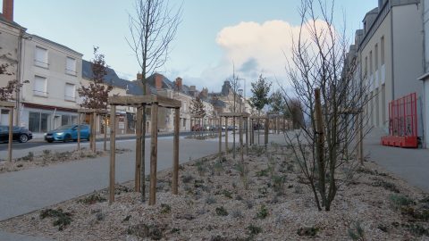 Fin des travaux du boulevard Marx Dormoy à Issoudun