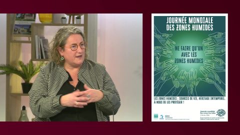 Invitée Bip INFO du mardi 3 février 2026