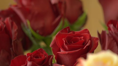 Les fleuristes préparent la Saint-Valentin