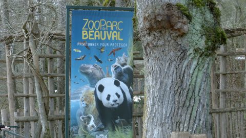 Beauval : une infrastructure hors du commun bientôt en construction