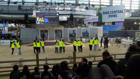 Une matinée de concours pour les jeunes de Naturapolis