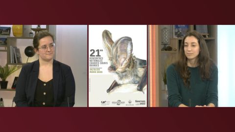 Invitées Bip INFO du jeudi 5 mars 2026
