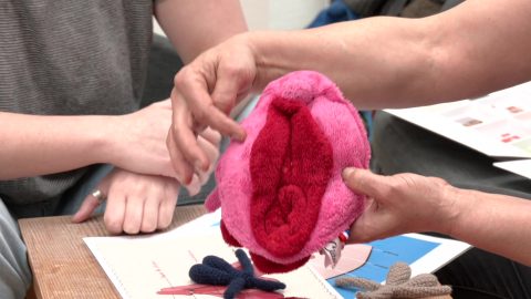 Une matinée de sensibilisation au frottis