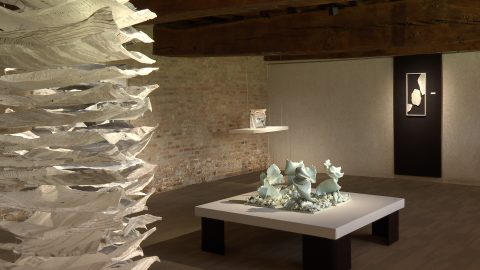 Nouvelles expositions à la galerie Capazza