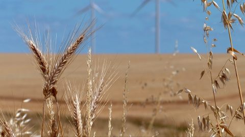 Les agriculteurs faces aux risques d'incendies
