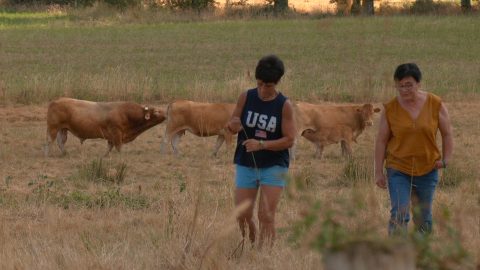 Une aide pour les agriculteurs en difficultés